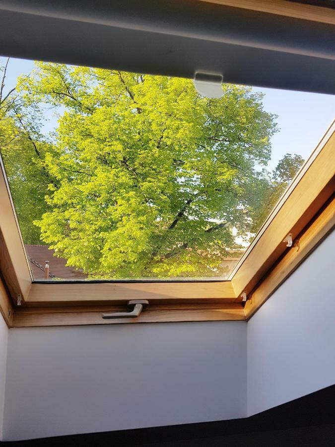 Exceptional Uzupis Bridge 3 Bedroom Apartment 维尔纽斯 外观 照片