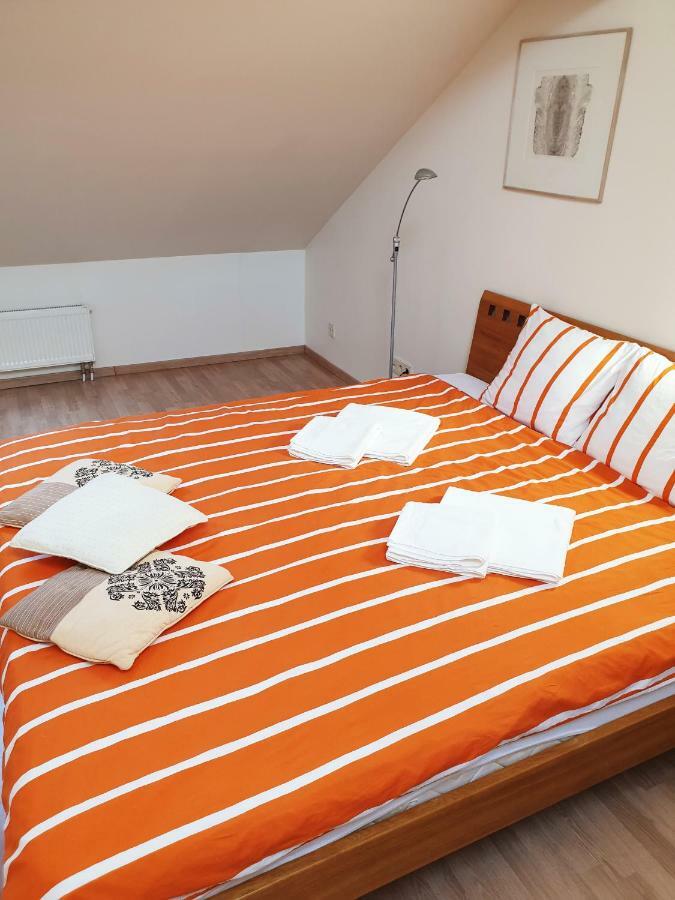 Exceptional Uzupis Bridge 3 Bedroom Apartment 维尔纽斯 外观 照片