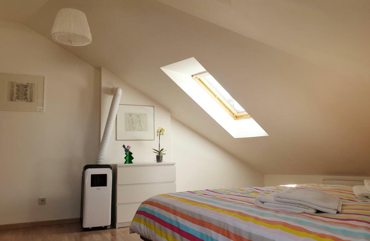 Exceptional Uzupis Bridge 3 Bedroom Apartment 维尔纽斯 外观 照片