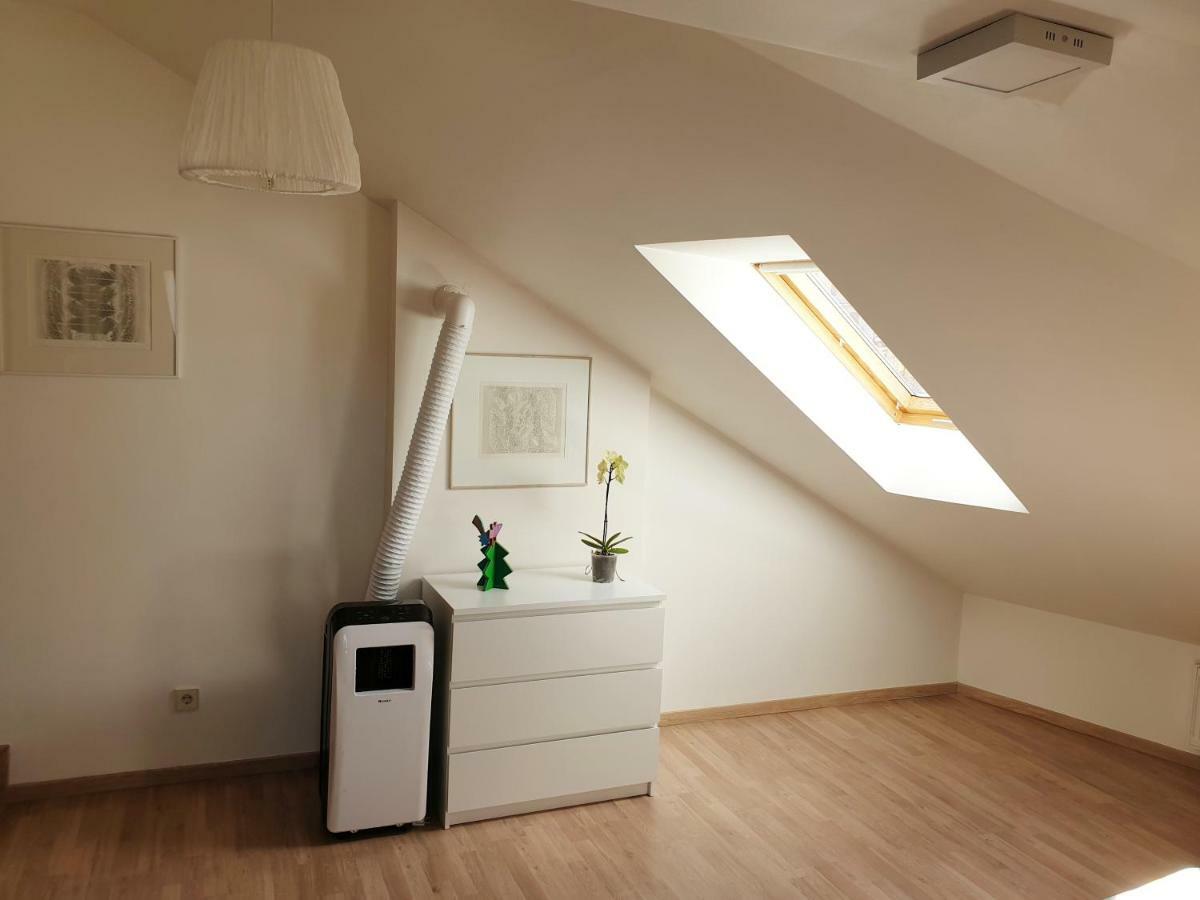 Exceptional Uzupis Bridge 3 Bedroom Apartment 维尔纽斯 外观 照片